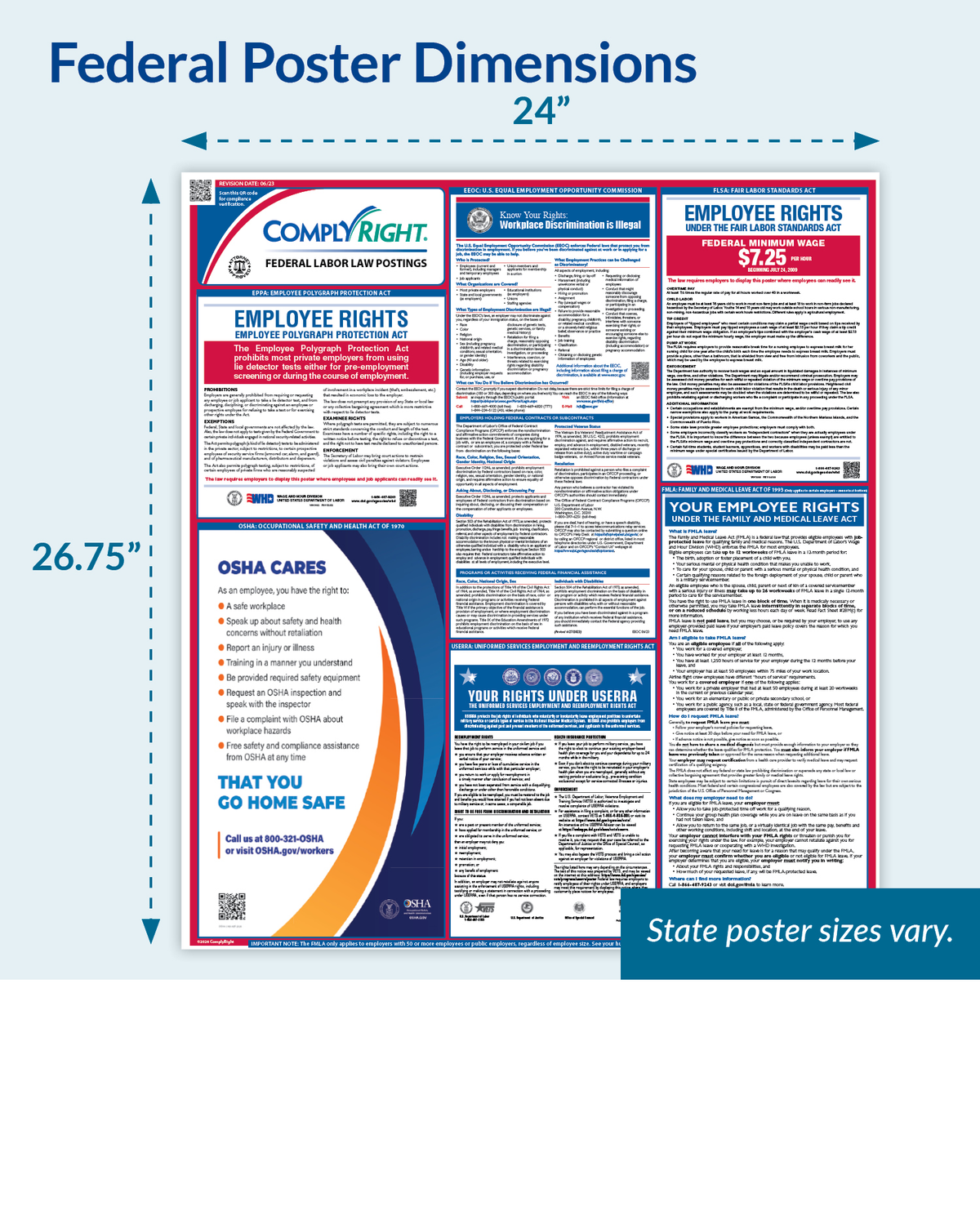 Federal & State Poster Set