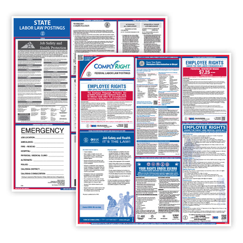Two labor law posters with text and graphics on a white background